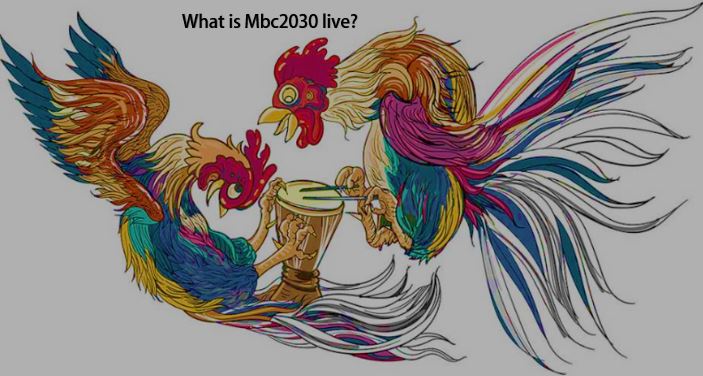 Mbc2030