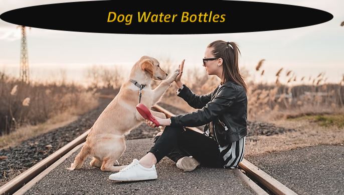 dog water bottles