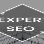 Expert SEO Services