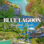 Blue Lagoon Farm