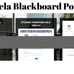 Vutela Blackboard Portal